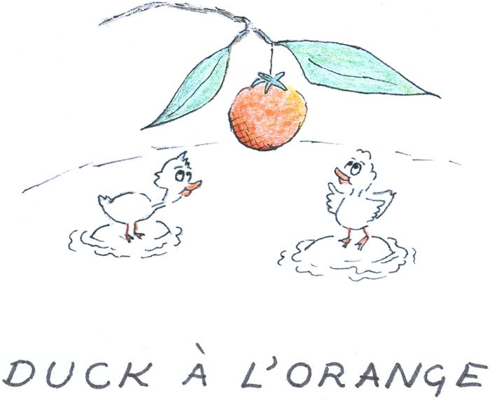 Two ducks on a pond under the bough of an orange tree.
            The caption reads "Duck à l'Orange"
