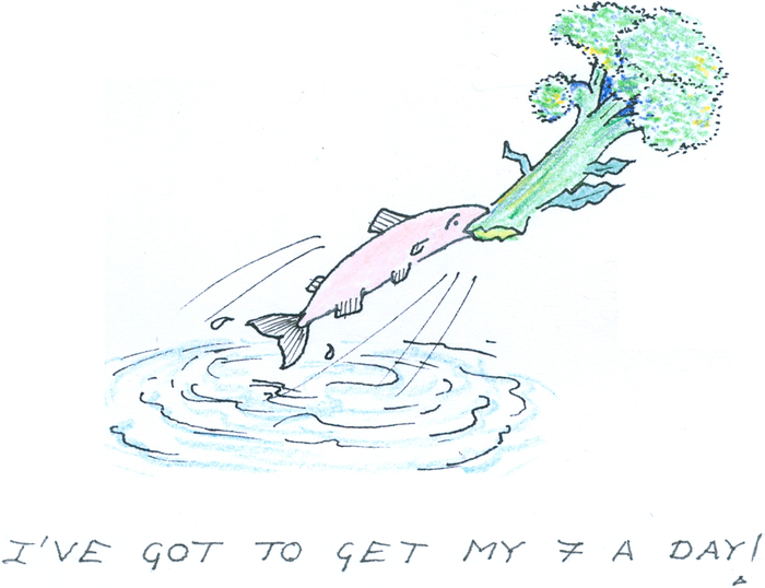 A salmon leaping out of a river with a piece of broccoli in 
            its mouth. The caption reads "I've got to get my 7 a day!"
